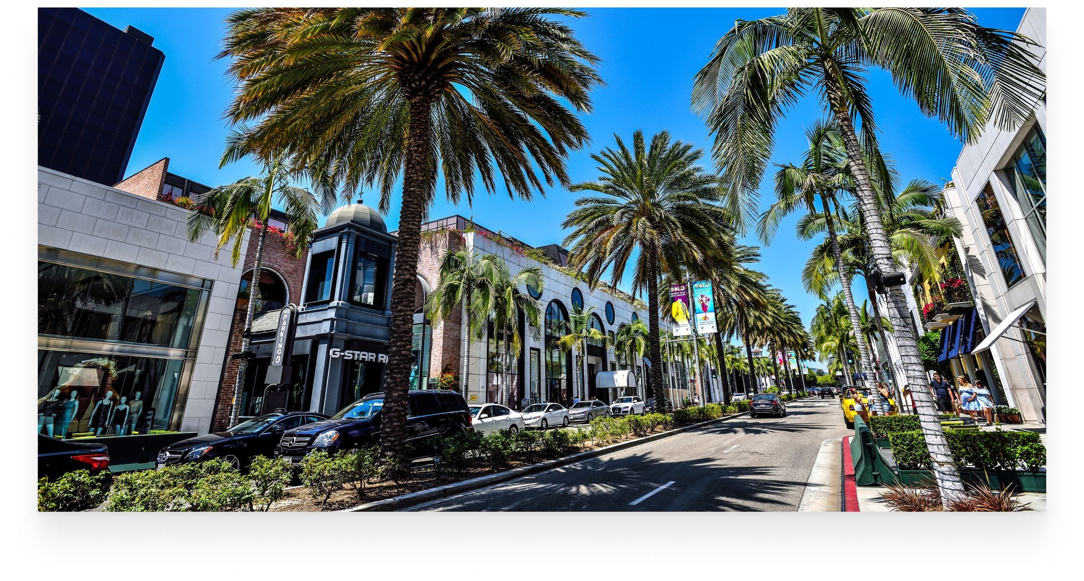 Palm-lined street in a vibrant urban setting.