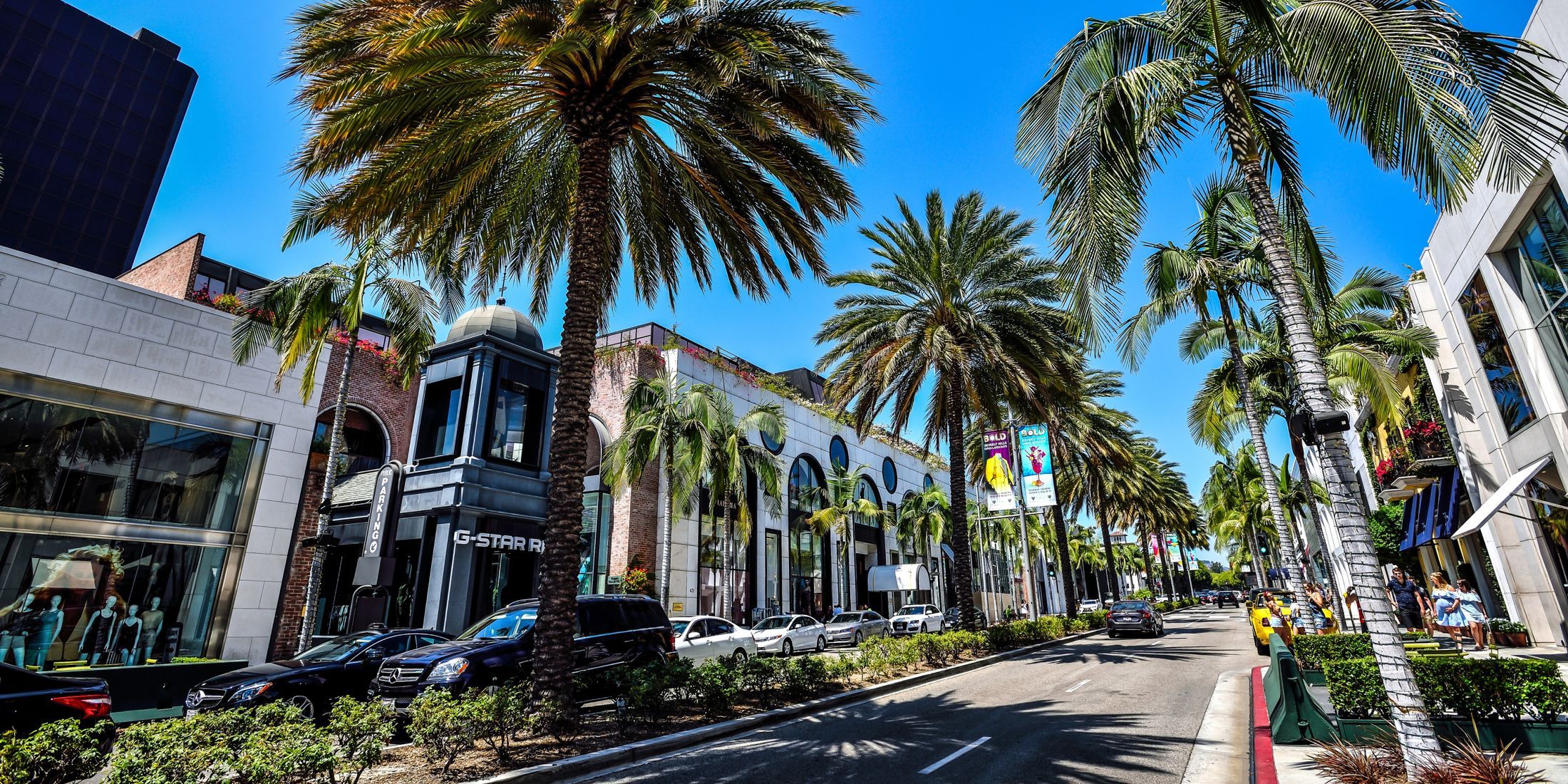 Beverly Hills street lined with palm trees.